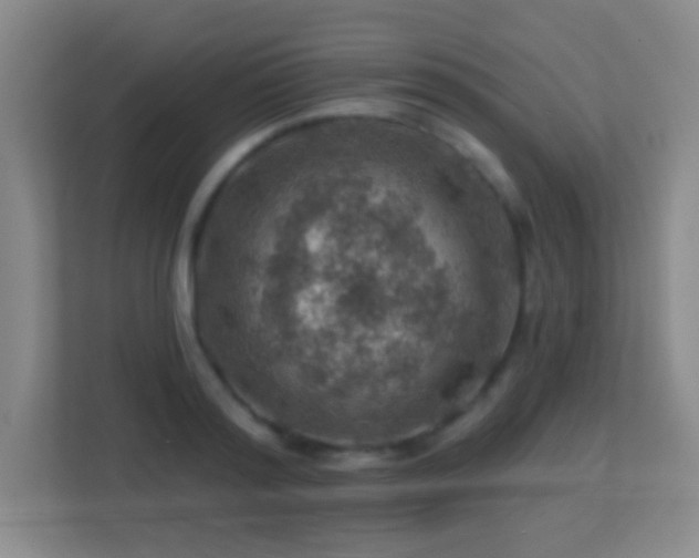X0000113860796200909241307
