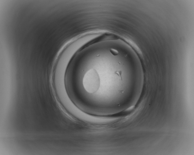 X0000113860797200909241307
