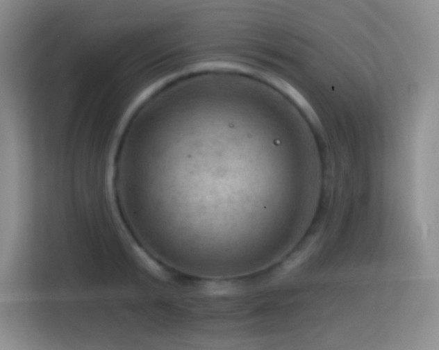 X0000113860799200909241307