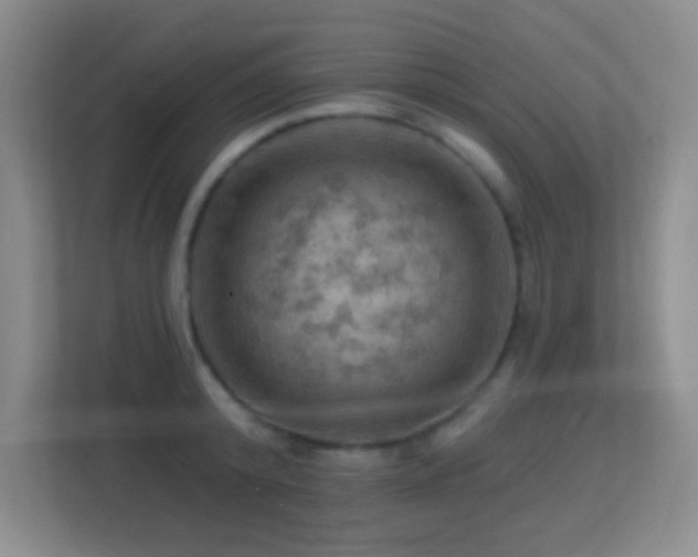 X0000113860800200909241307