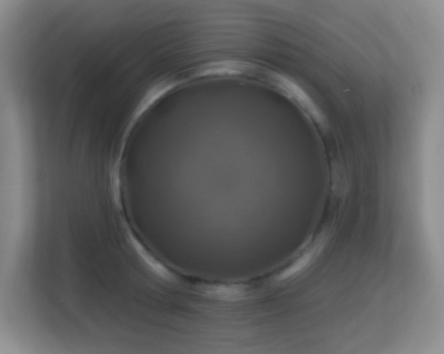 X0000113860802200909241307
