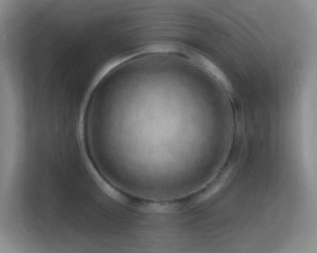 X0000113860803200909241307