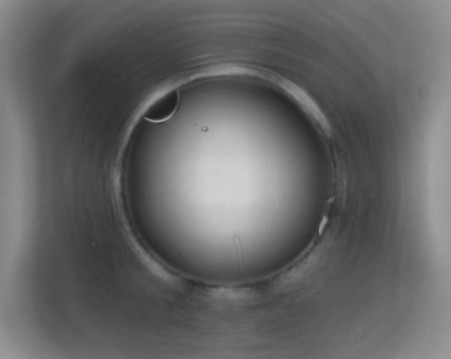 X0000113860805200909241307