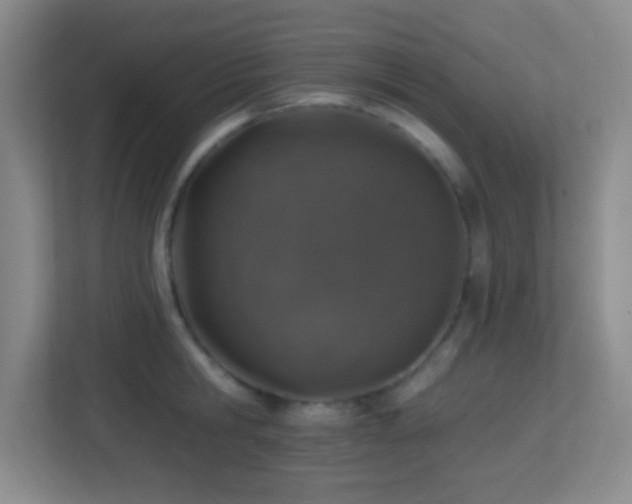 X0000113860806200909241307