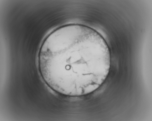 X0000113860807200909241306