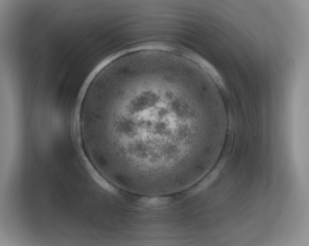 X0000113860808200909241306