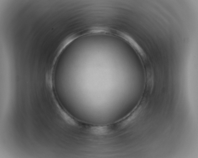 X0000113860810200909241306
