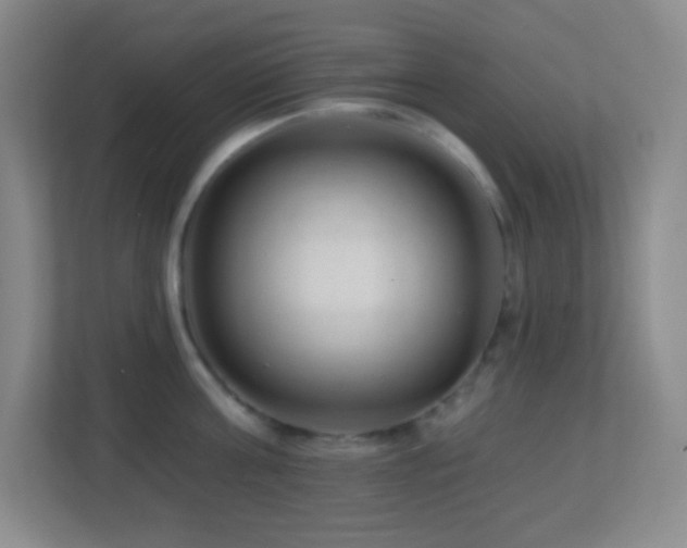 X0000113860811200909241306
