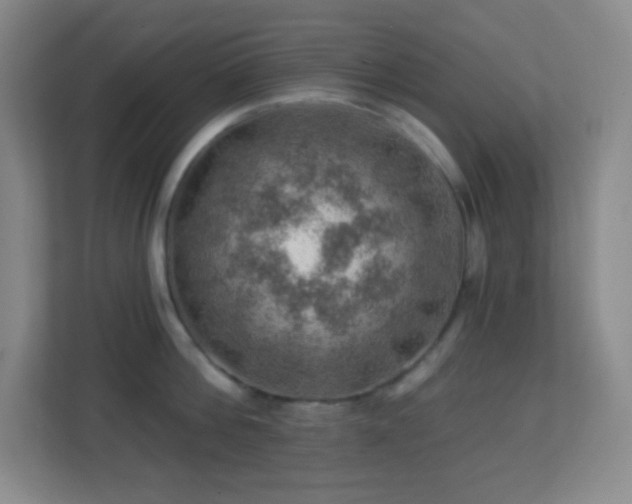 X0000113860812200909241306