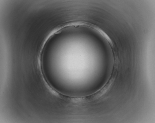 X0000113860813200909241306