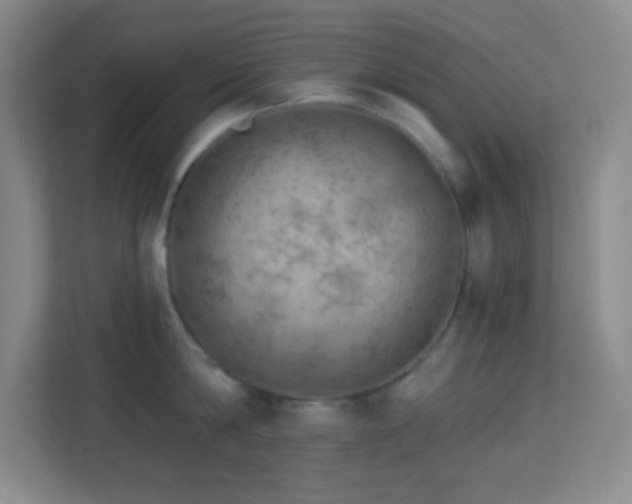 X0000113860814200909241306
