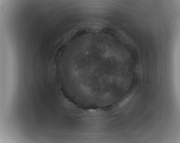 X0000113860818200909241306