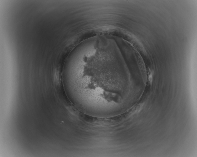 X0000113860819200909241306