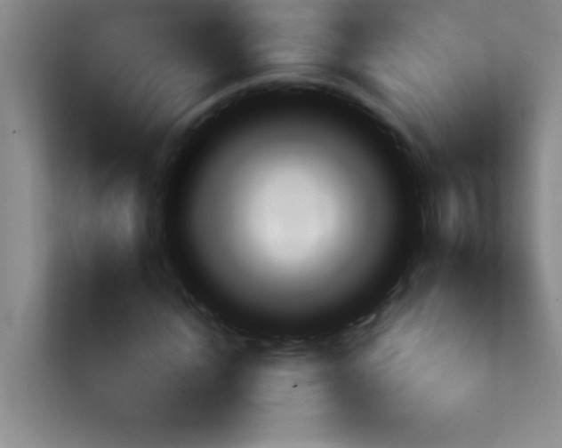 X0000113860822200909241306