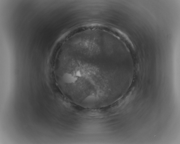 X0000113860823200909241306