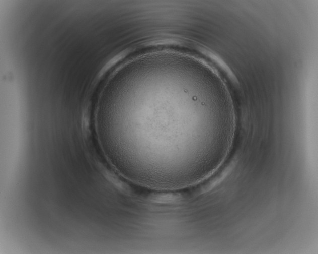 X0000113860826200909241306