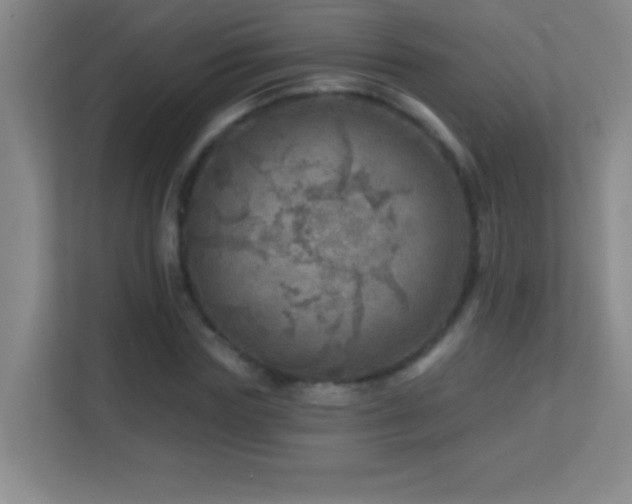 X0000113860827200909241306