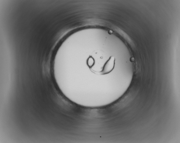 X0000113860828200909241306