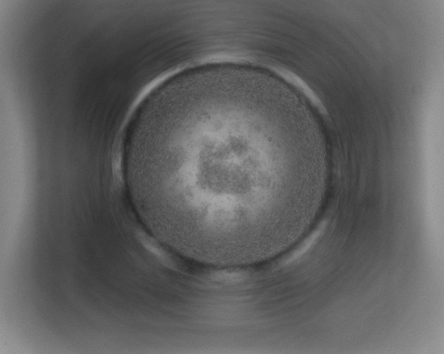 X0000113860830200909241306