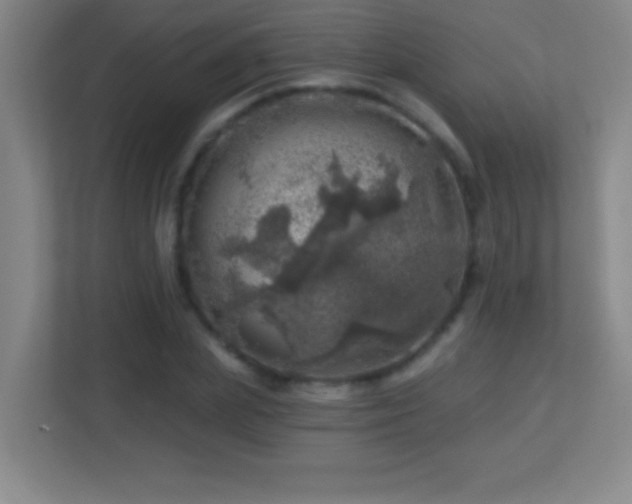 X0000113860831200909241306