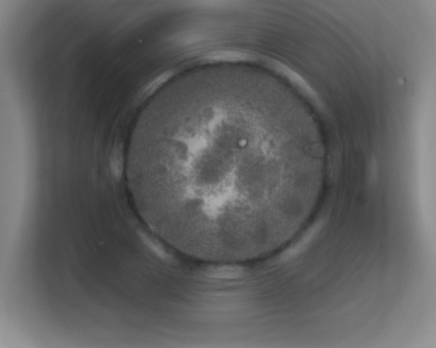 X0000113860833200909241306