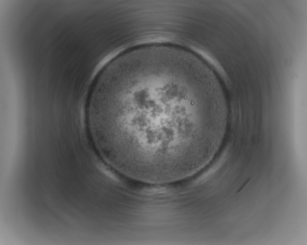 X0000113860834200909241306