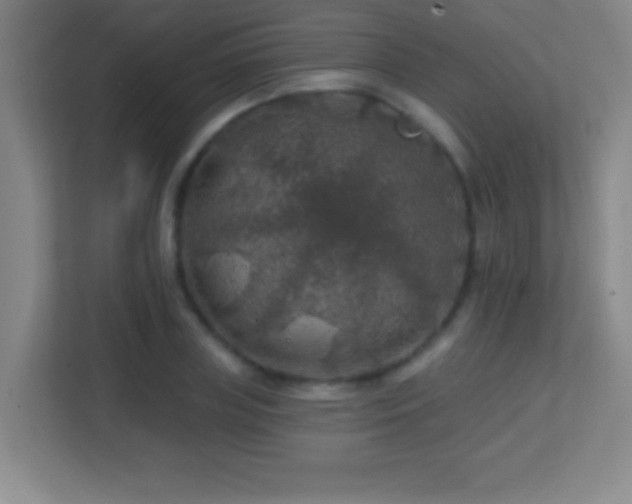 X0000113860835200909241306