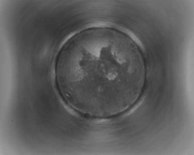 X0000113860837200909241306