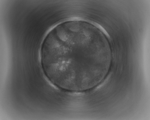 X0000113860839200909241306