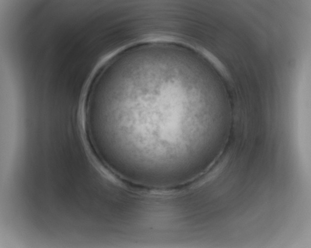 X0000113860840200909241306