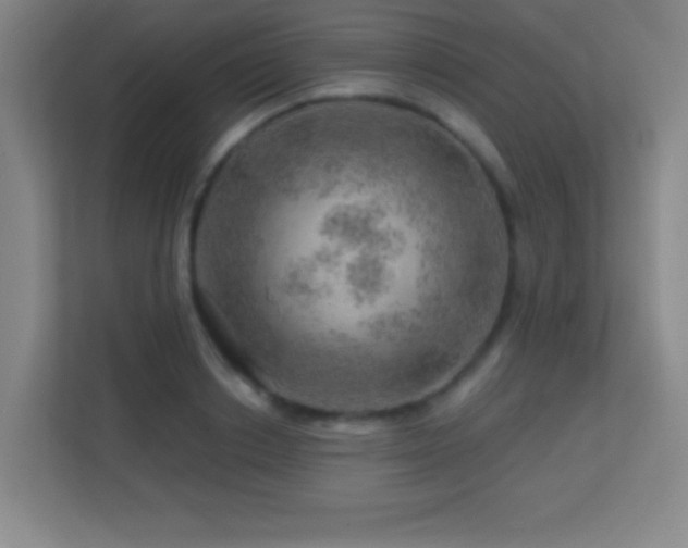 X0000113860842200909241306