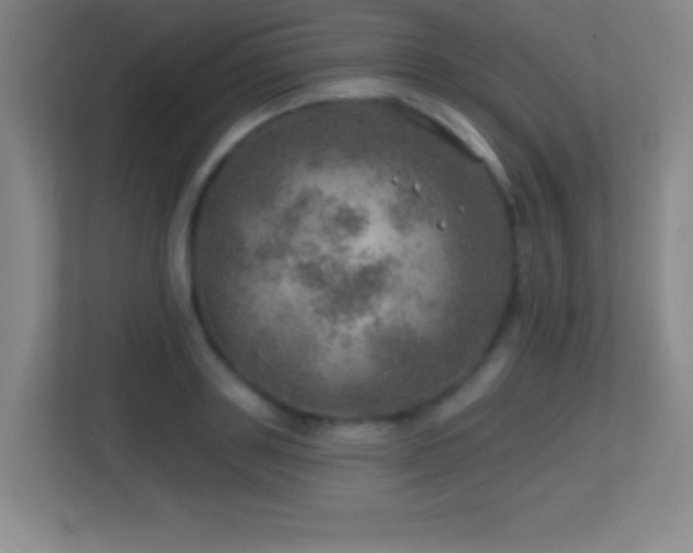 X0000113860843200909241306