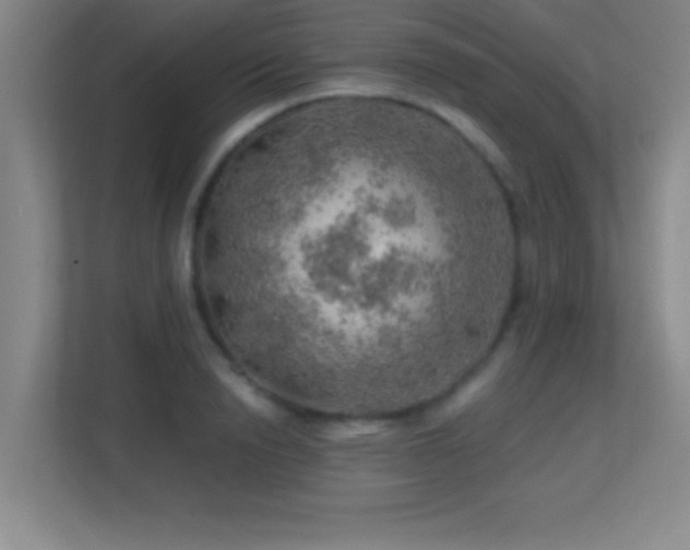 X0000113860846200909241306
