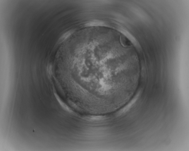 X0000113860849200909241306