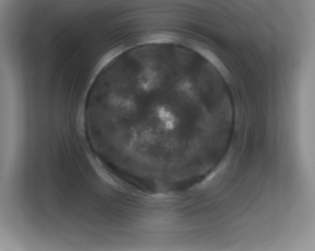 X0000113860850200909241306