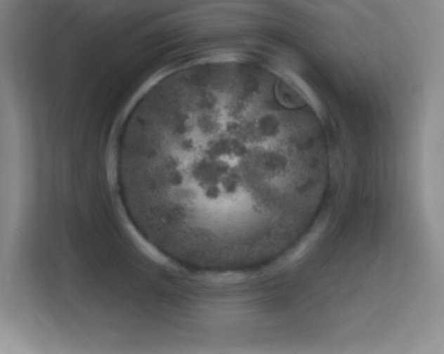 X0000113860851200909241306