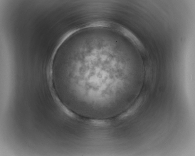 X0000113860852200909241306