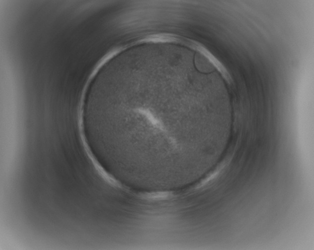 X0000113860853200909241306
