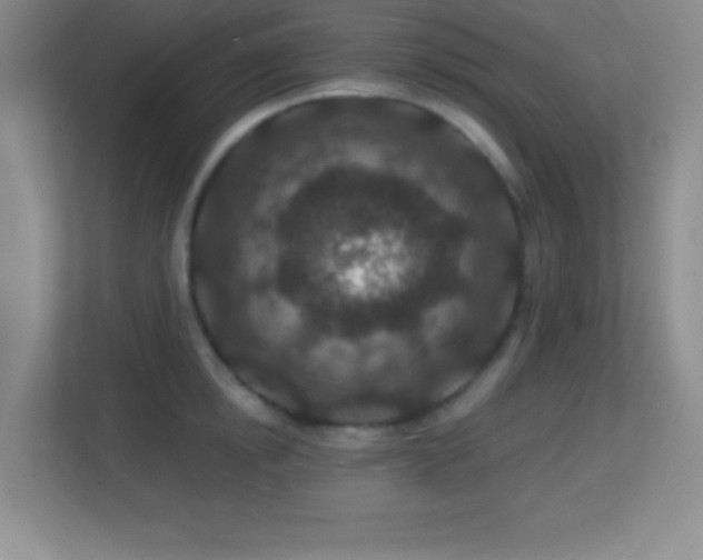 X0000113860854200909241306
