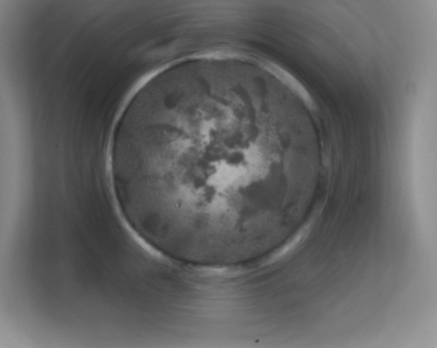 X0000113860855200909241306