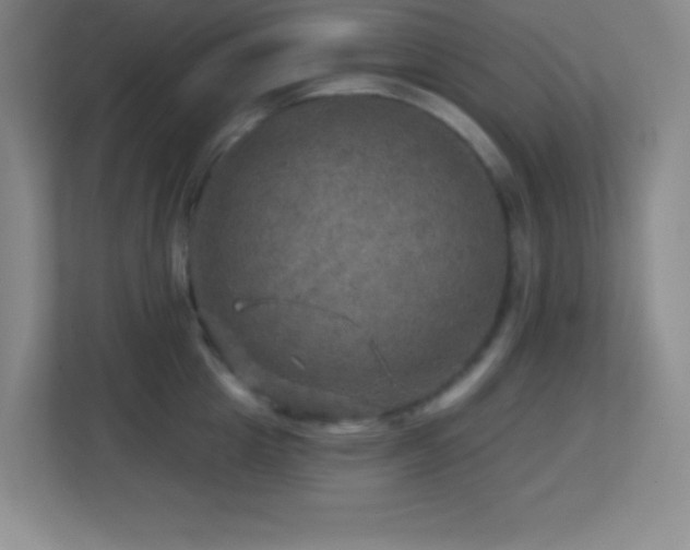 X0000113860857200909241306