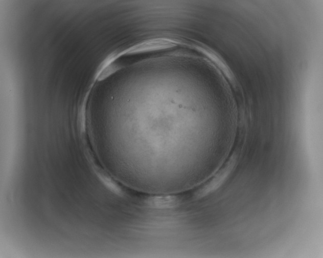 X0000113860858200909241306