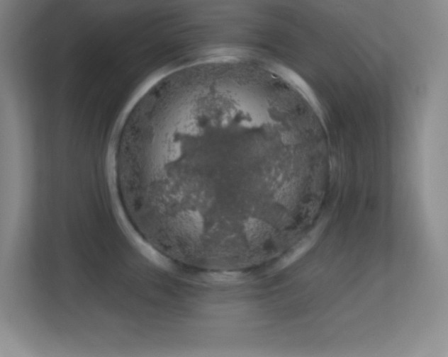 X0000113860859200909241306