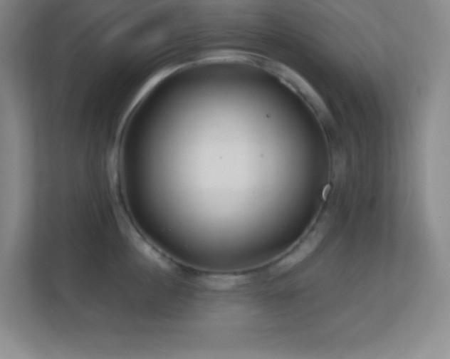 X0000113860860200909241306