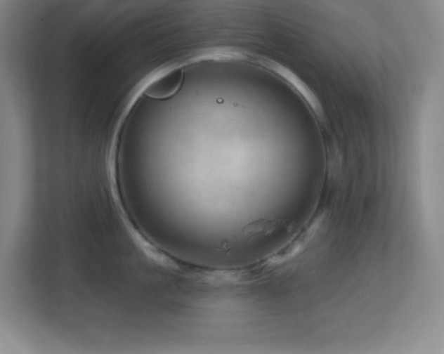 X0000113860861200909241306