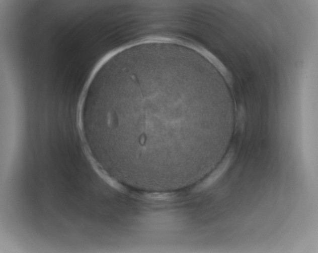 X0000113860862200909241306