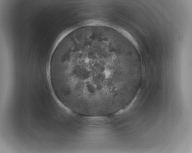 X0000113860863200909241306