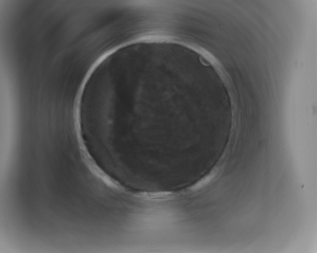 X0000113860864200909241306