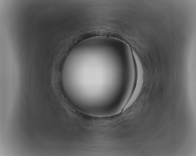 X0000113860865200909241306