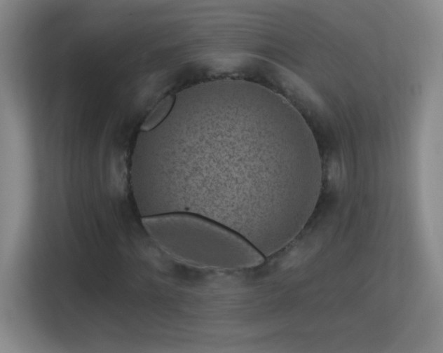 X0000113860868200909241306